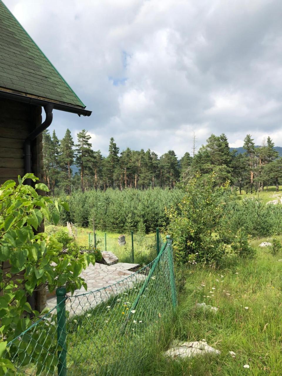 Kuca U Borju - House In Pines Lägenhet Žabljak Exteriör bild