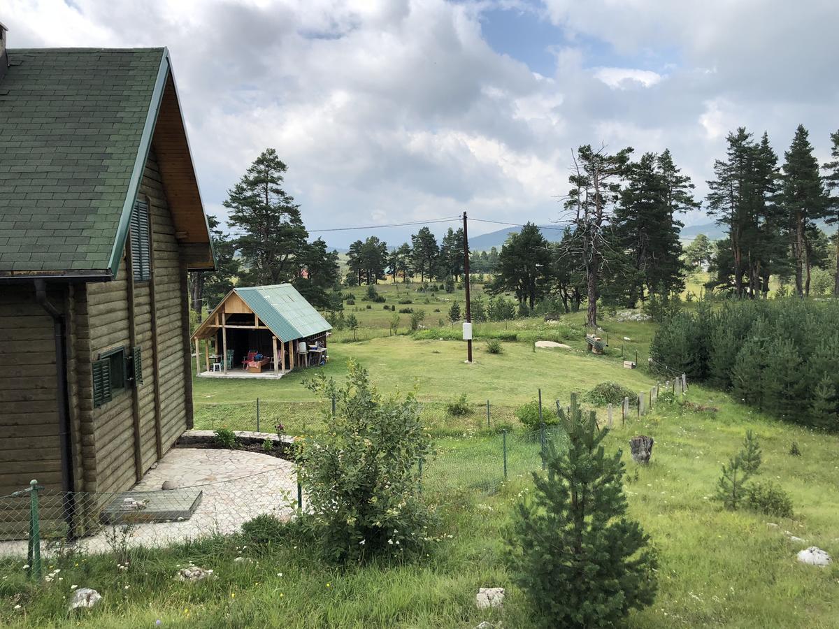 Kuca U Borju - House In Pines Lägenhet Žabljak Exteriör bild