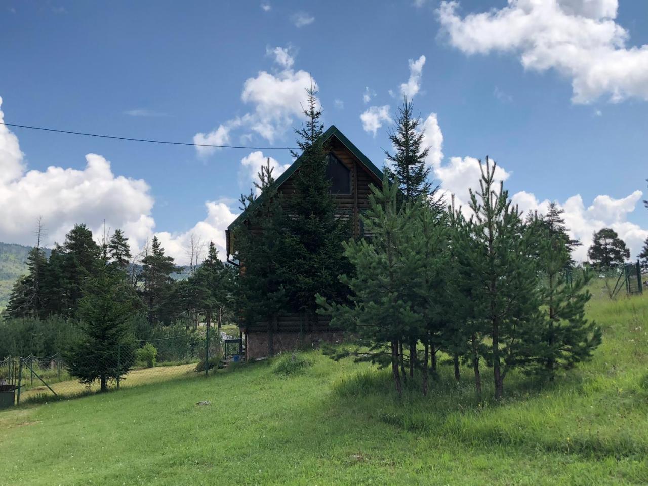 Kuca U Borju - House In Pines Lägenhet Žabljak Exteriör bild