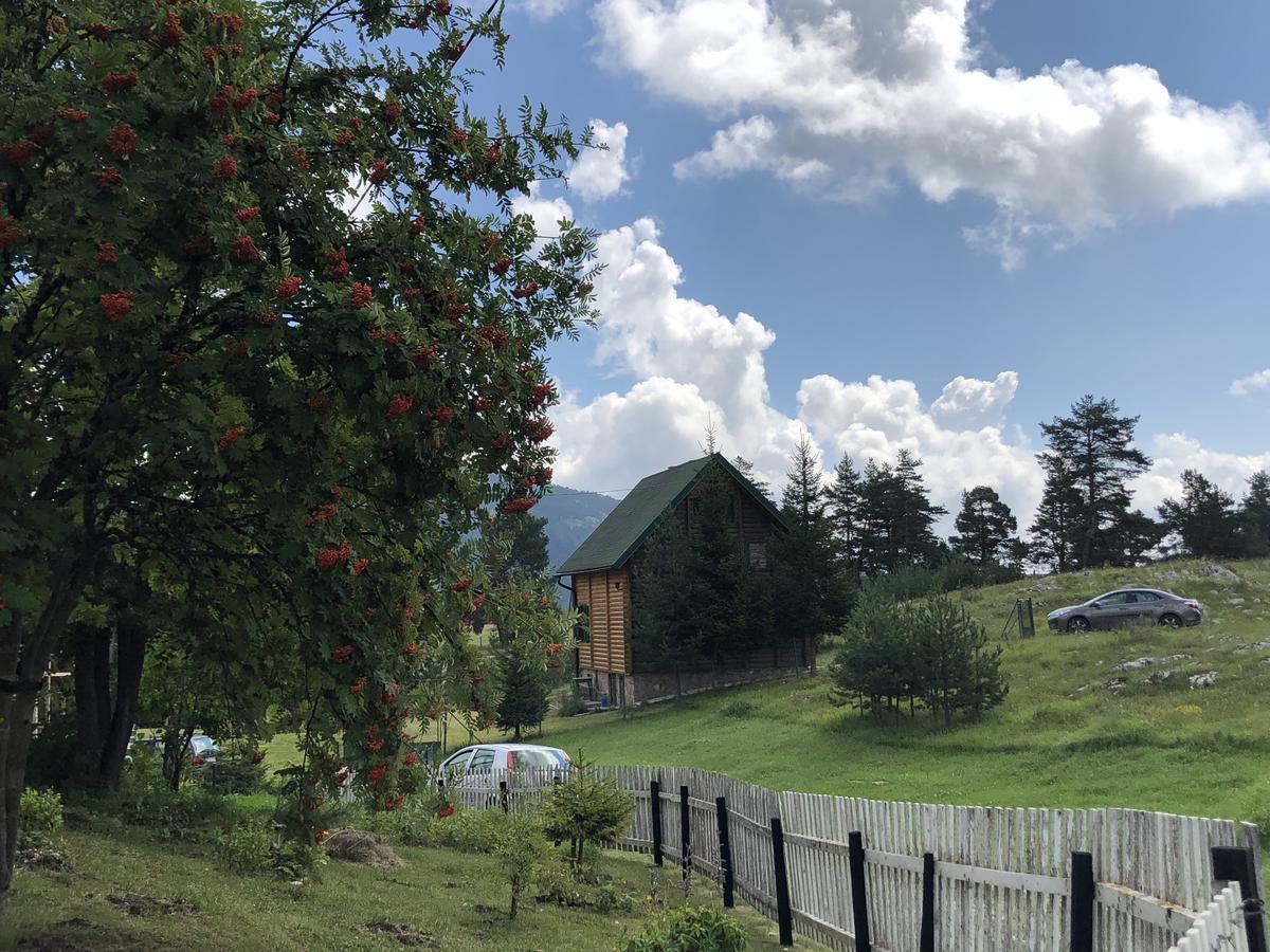 Kuca U Borju - House In Pines Lägenhet Žabljak Exteriör bild